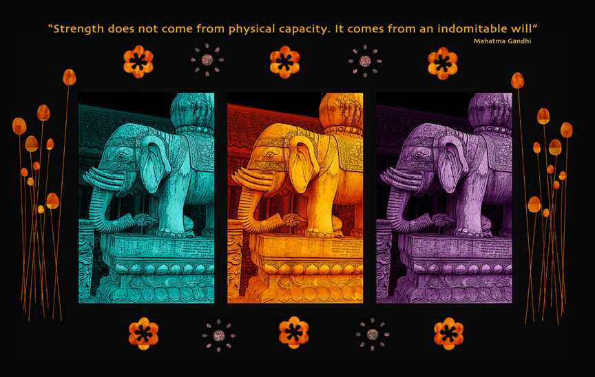 elephanttriadsmall