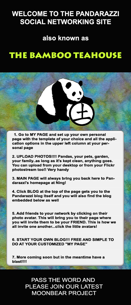 pandarazzinetworkbanern pandarazzinetworkbanern