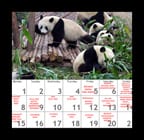 GETTING BEARY EXCITED!!! First itinerary for China/Thai trip