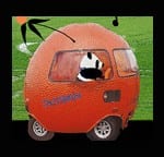 ROADTRIP !!!! ….Join me on our panda, moonbear and ellie journey