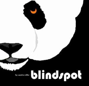 Blink Spot The Book by Sandra Miller